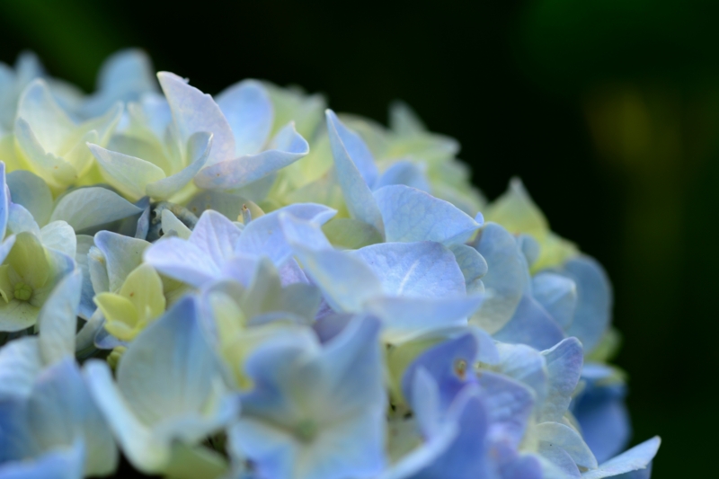 f:id:qshiro:20140604081442j:image:w360