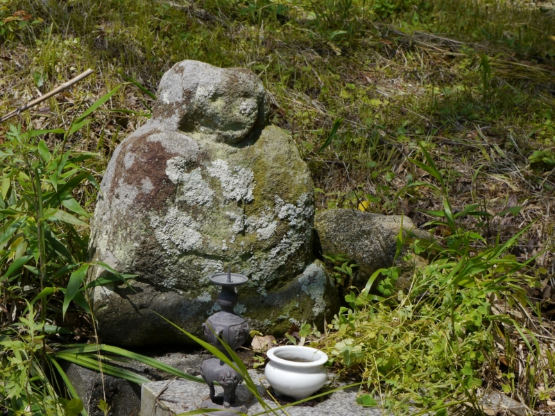 f:id:qshiro:20140608174451j:image:w220