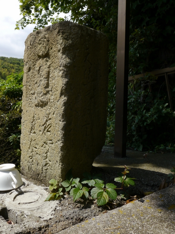 f:id:qshiro:20140608174452j:image:w145