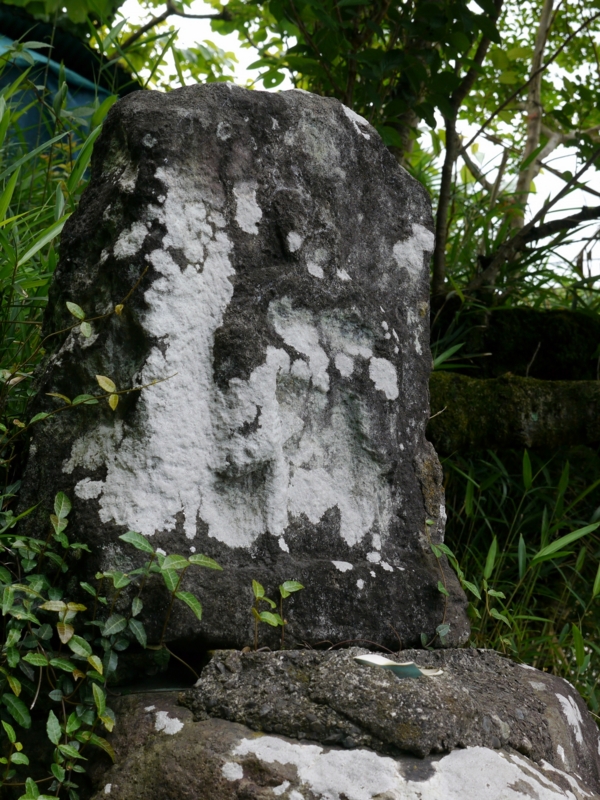 f:id:qshiro:20140608174455j:image:w145