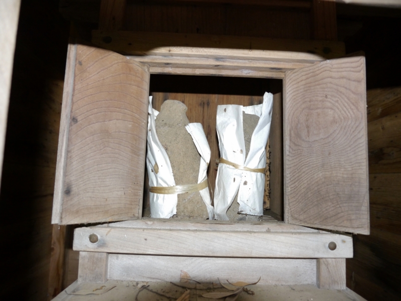 f:id:qshiro:20140608174459j:image:w360