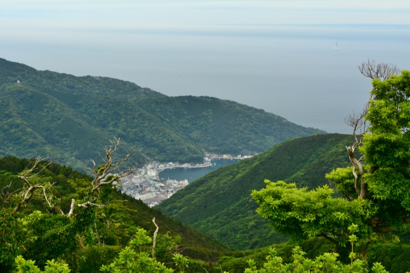 f:id:qshiro:20140612190024j:image:w360