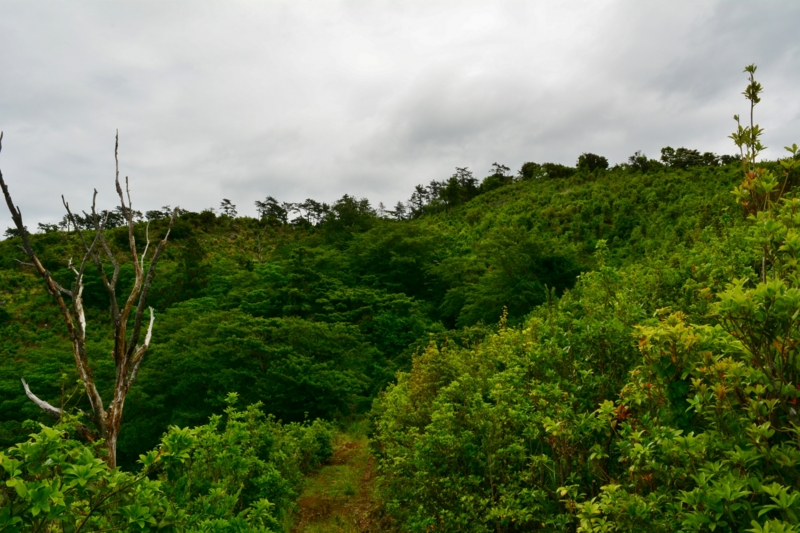 f:id:qshiro:20140612190025j:image:w360