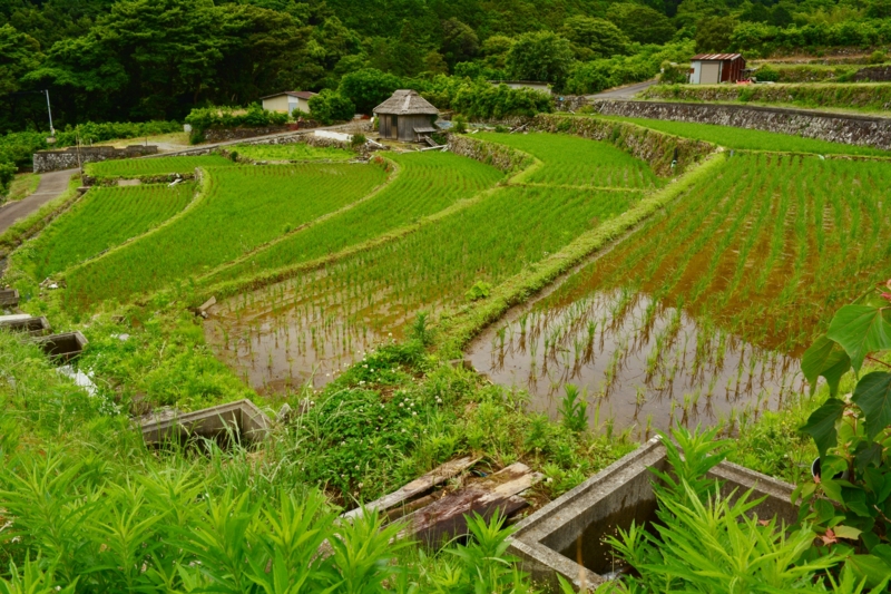 f:id:qshiro:20140612190026j:image:w360