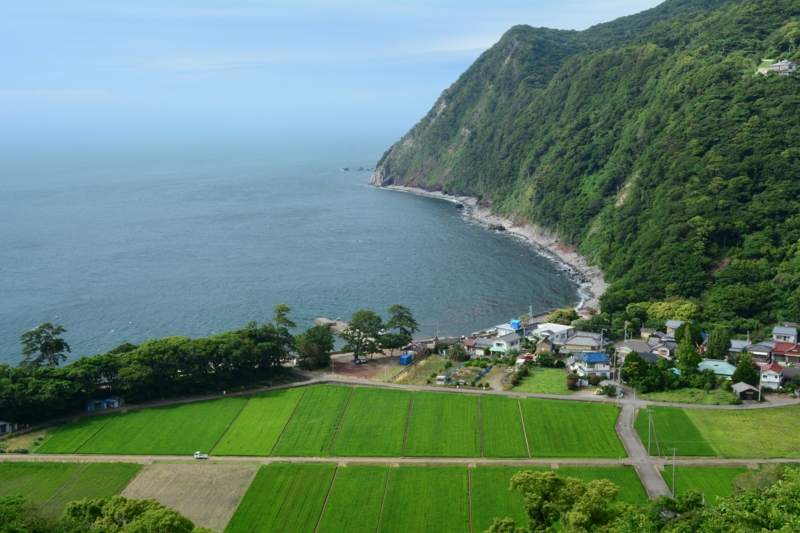 f:id:qshiro:20140612190036j:image:w360