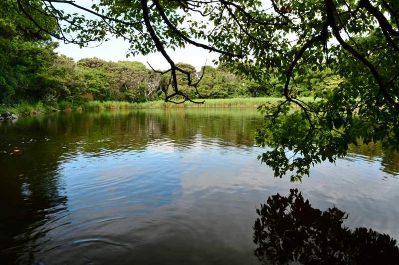 f:id:qshiro:20140612190042j:image:w360