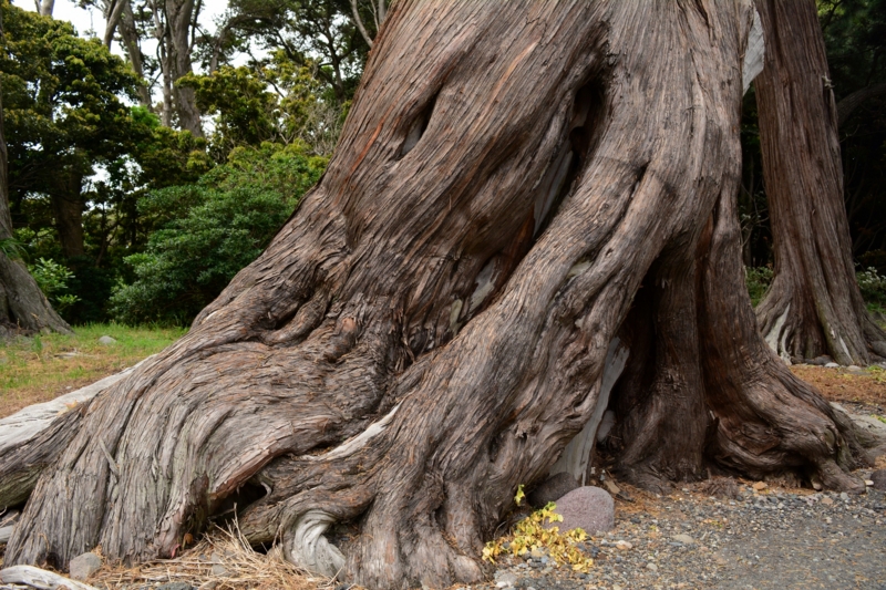 f:id:qshiro:20140612190046j:image:w360