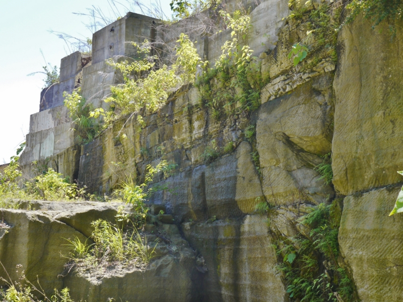 f:id:qshiro:20140614164434j:image:w360 f:id:qshiro:20140614164434j:image:w360