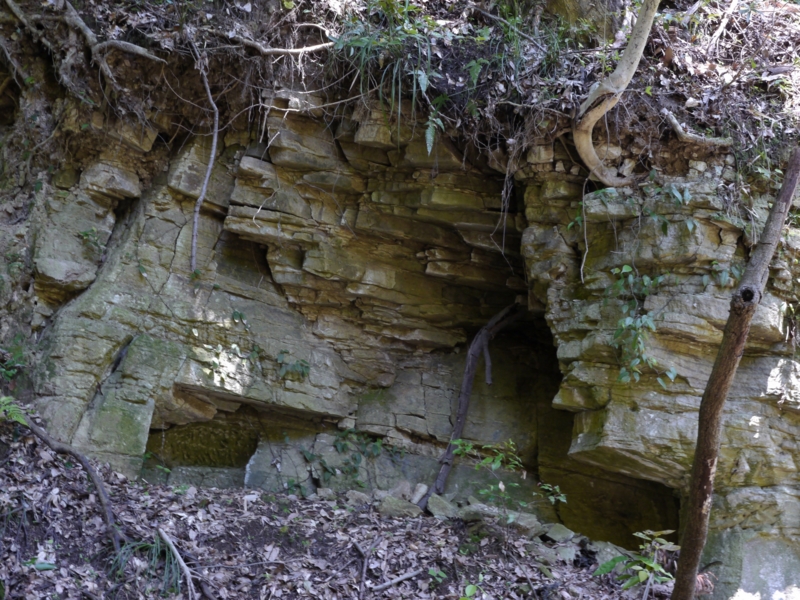 f:id:qshiro:20140614164436j:image:w360 f:id:qshiro:20140614164436j:image:w360