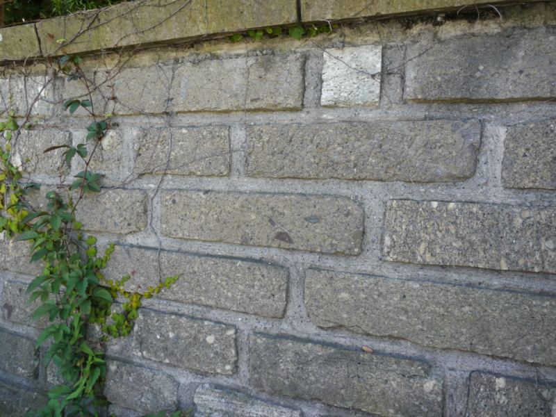 f:id:qshiro:20140614164440j:image:w360 f:id:qshiro:20140614164440j:image:w360