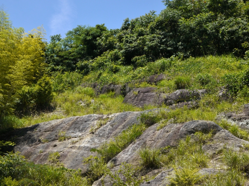 f:id:qshiro:20140614164444j:image:w360 f:id:qshiro:20140614164444j:image:w360