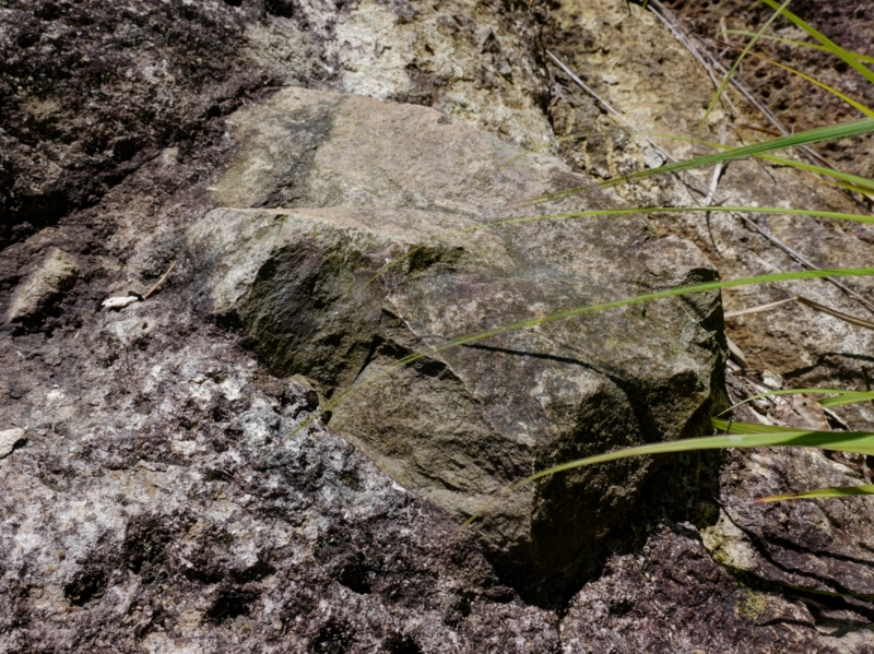 f:id:qshiro:20140614164446j:image:w360 f:id:qshiro:20140614164446j:image:w360