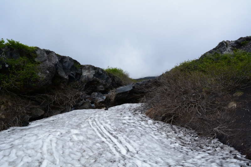 f:id:qshiro:20140616160421j:image:w360 f:id:qshiro:20140616160421j:image:w360