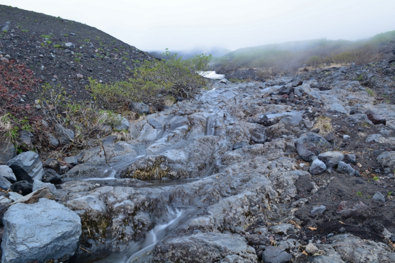 f:id:qshiro:20140616160422j:image:w360 f:id:qshiro:20140616160422j:image:w360