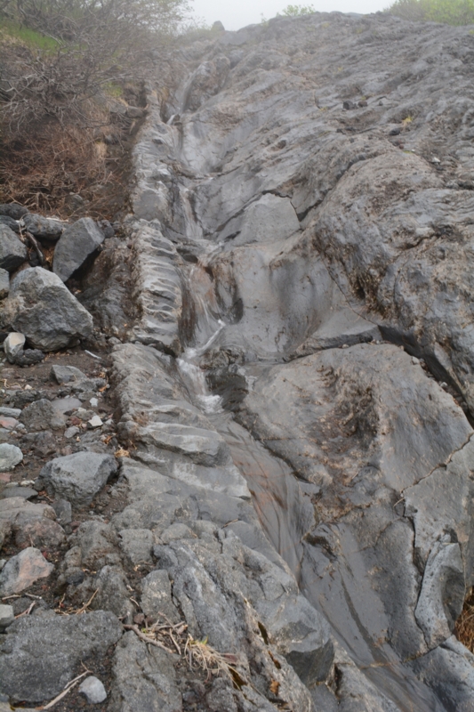 f:id:qshiro:20140616160423j:image:w280 f:id:qshiro:20140616160423j:image:w280