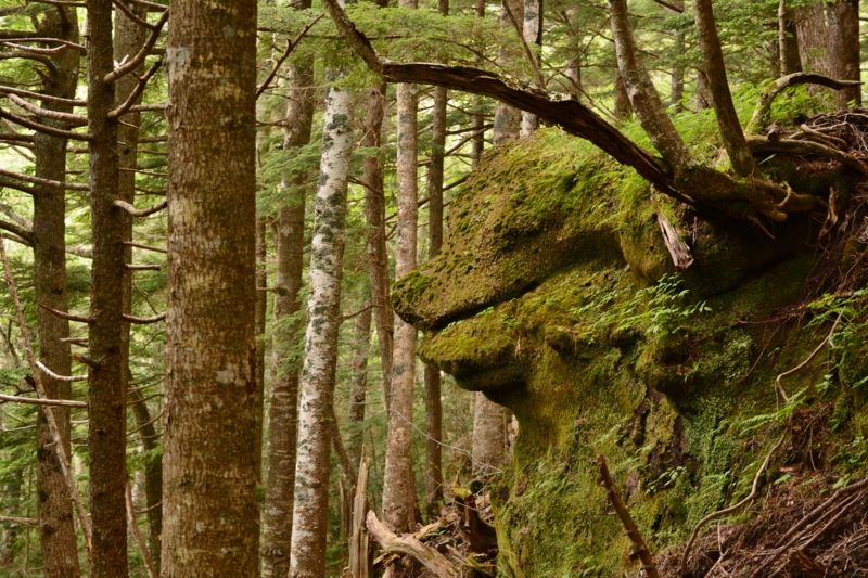 f:id:qshiro:20140616160424j:image:w360 f:id:qshiro:20140616160424j:image:w360