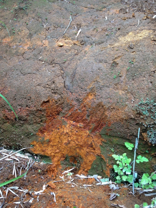 f:id:qshiro:20140620183700j:image:w280