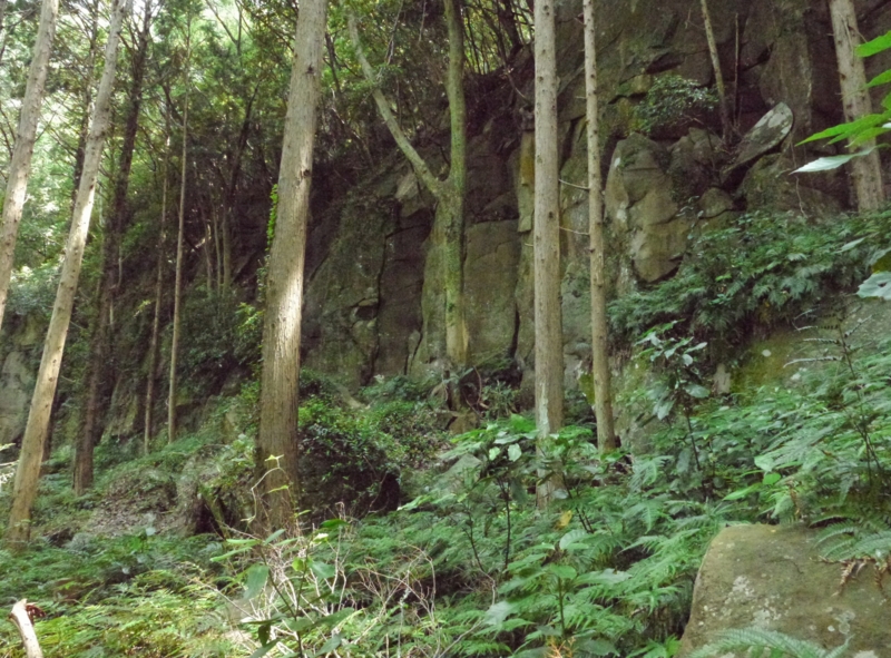 f:id:qshiro:20140620183701j:image:w360