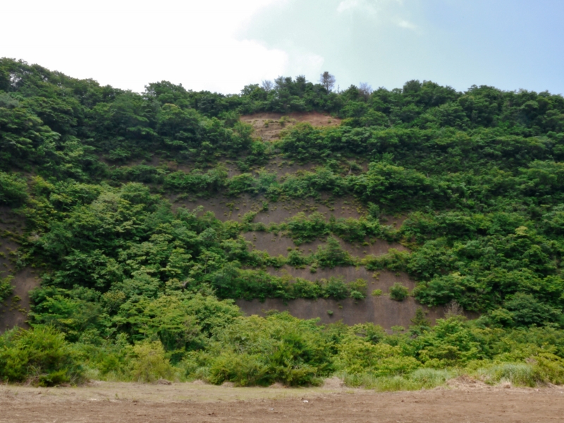 f:id:qshiro:20140620183703j:image:w360