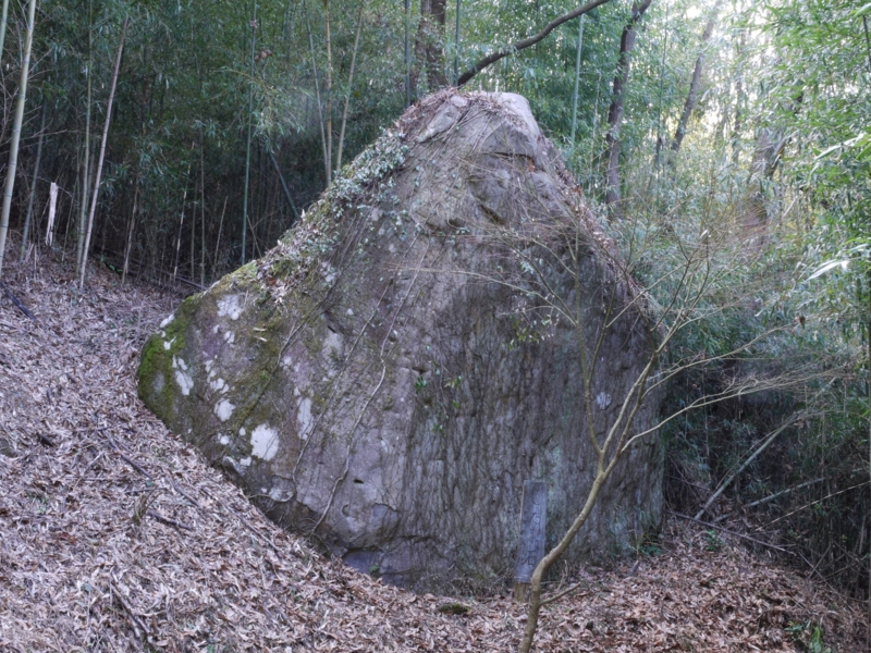 f:id:qshiro:20140620190319j:image:w360