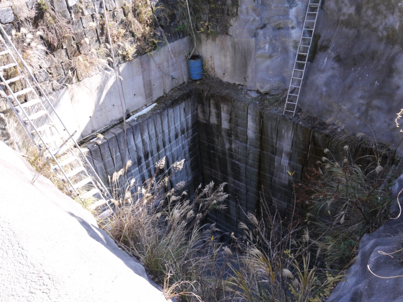 f:id:qshiro:20140620190321j:image:w360