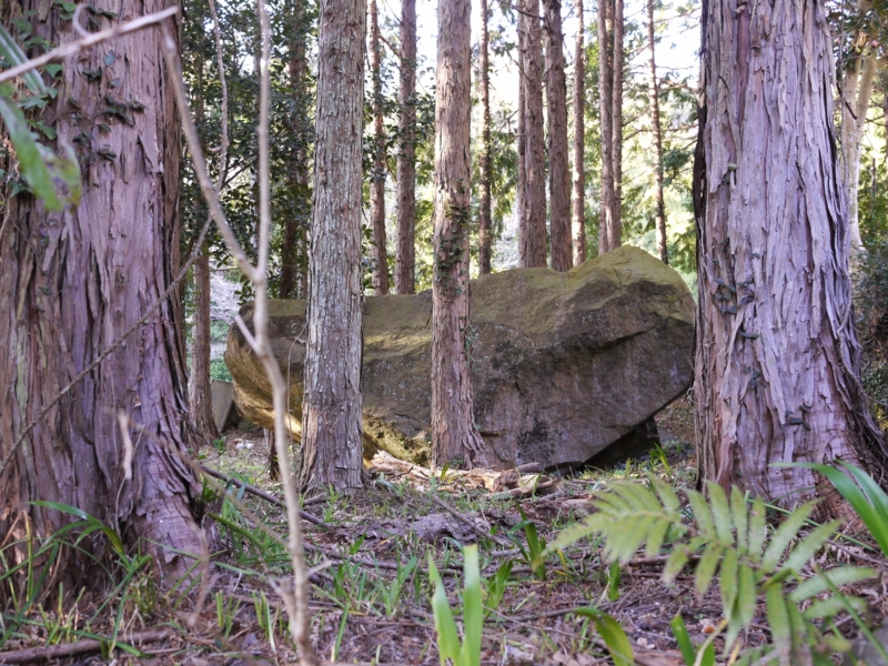 f:id:qshiro:20140620190323j:image:w360