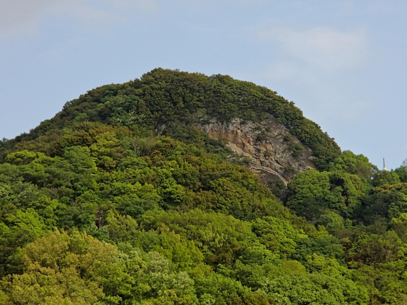 f:id:qshiro:20140620190325j:image:w360