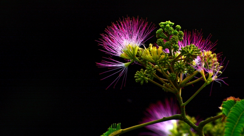 f:id:qshiro:20140630182638j:image:w360