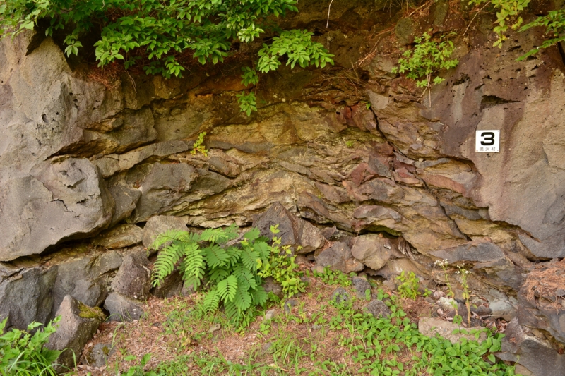 f:id:qshiro:20140730201112j:image:w360