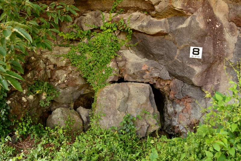 f:id:qshiro:20140730201113j:image:w360