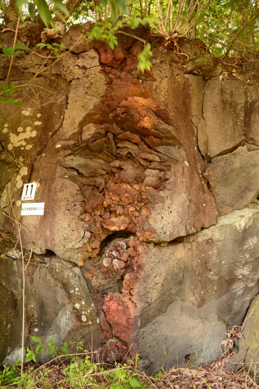 f:id:qshiro:20140730201115j:image:w280