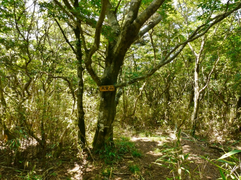 f:id:qshiro:20140730201119j:image:w360