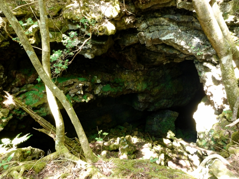 f:id:qshiro:20140730201124j:image:w360