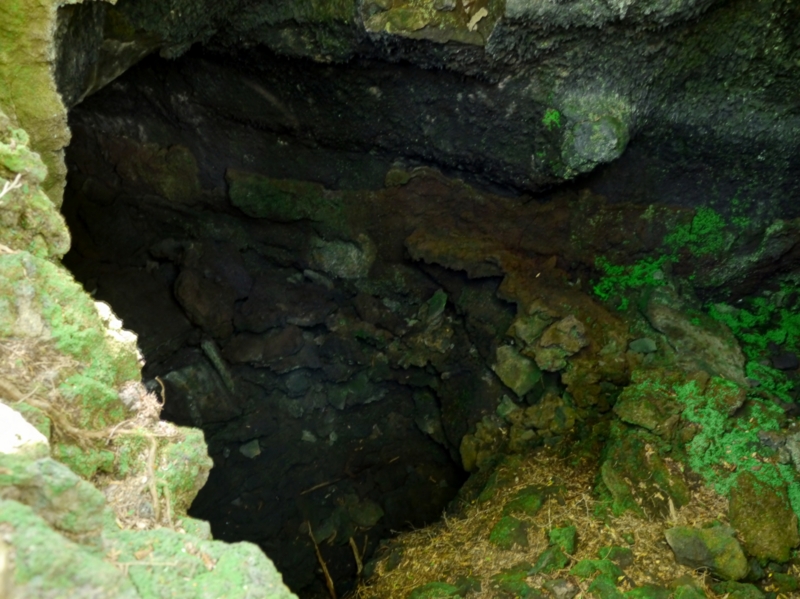 f:id:qshiro:20140730201126j:image:w360