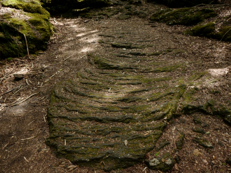 f:id:qshiro:20140730201128j:image:w360