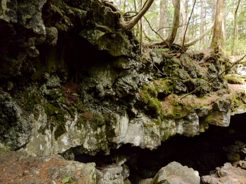 f:id:qshiro:20140730201130j:image:w360