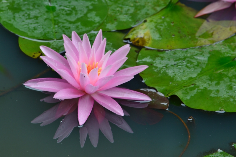 f:id:qshiro:20140815115703j:image:w360