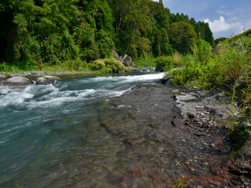 f:id:qshiro:20140821185048j:image:w360