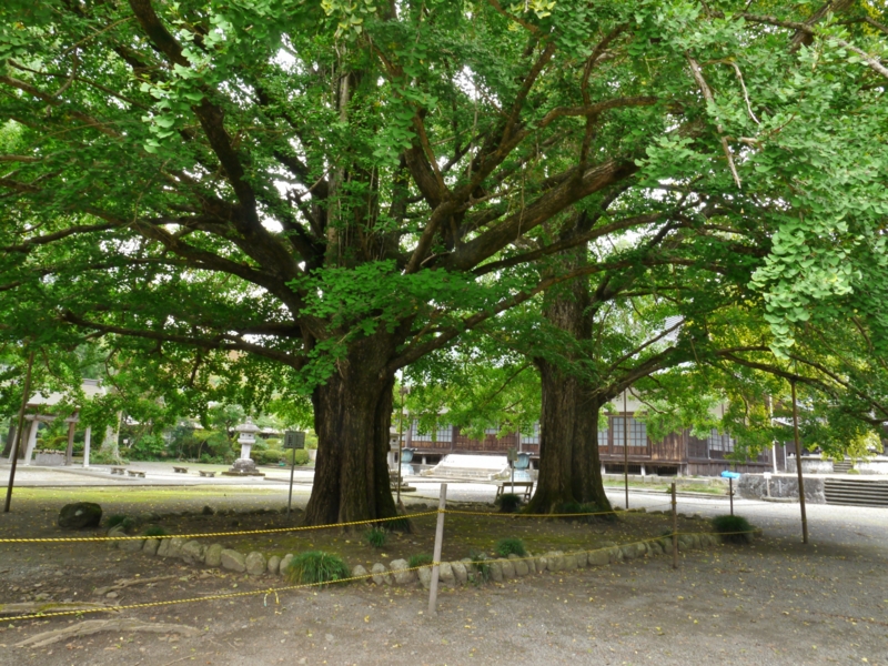 f:id:qshiro:20140821185058j:image:w360