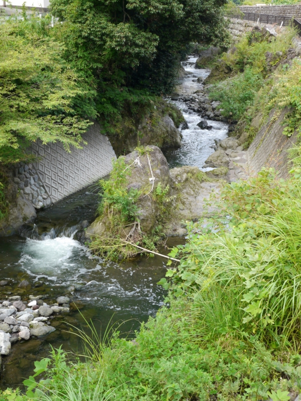 f:id:qshiro:20140821185101j:image:w280