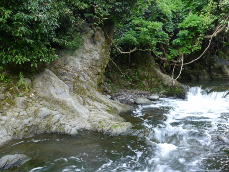 f:id:qshiro:20140821185102j:image:w360