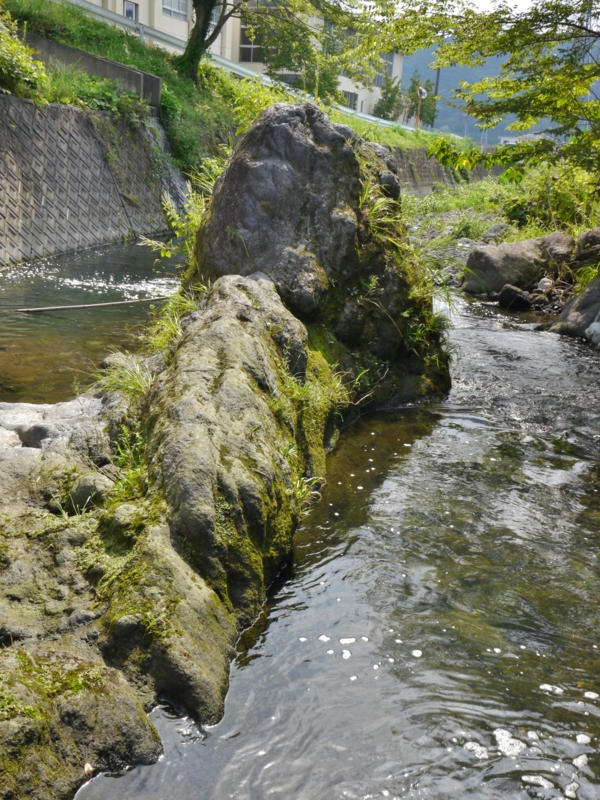 f:id:qshiro:20140821185103j:image:w360