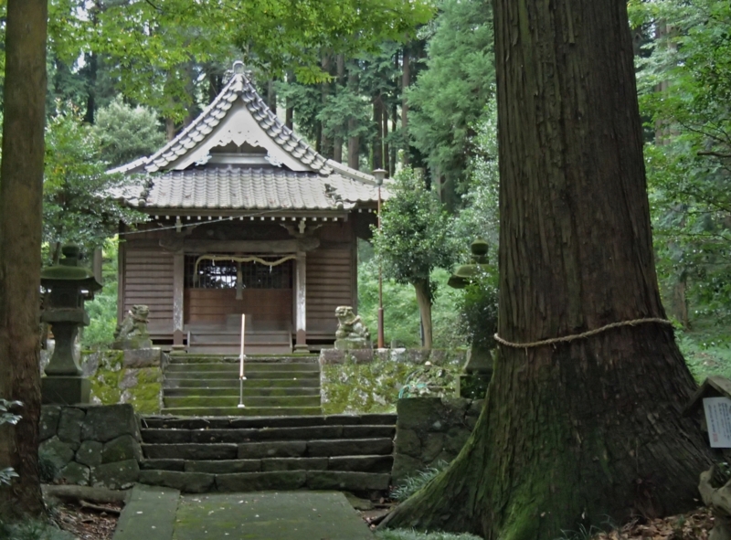 f:id:qshiro:20140827182920j:image:w220