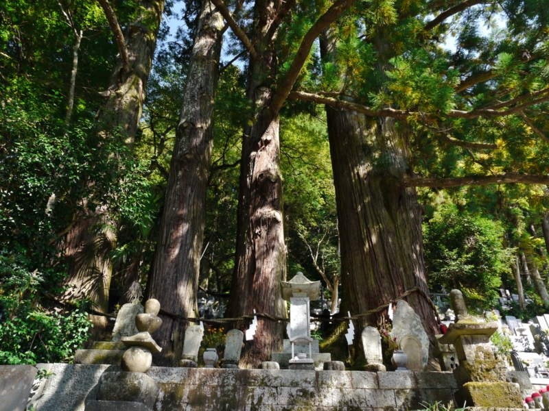 f:id:qshiro:20140930203547j:image:w360 f:id:qshiro:20140930203547j:image:w360