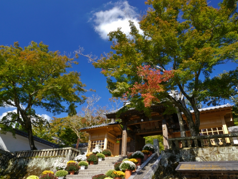 f:id:qshiro:20141019202506j:image:w360