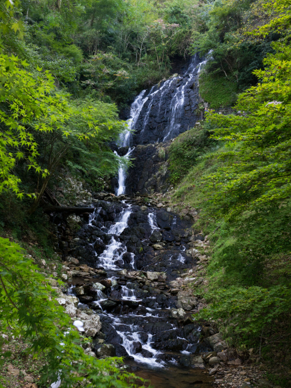 f:id:qshiro:20141019202515j:image:w280