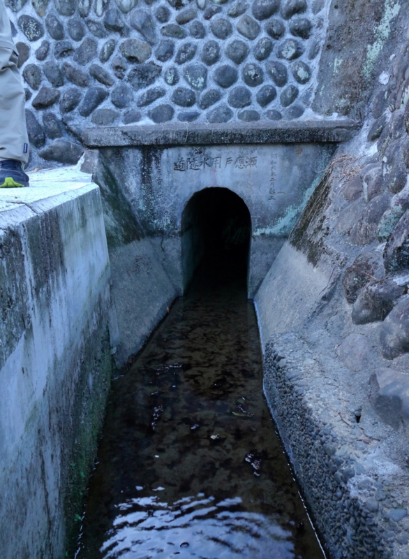 f:id:qshiro:20141019202517j:image:w280