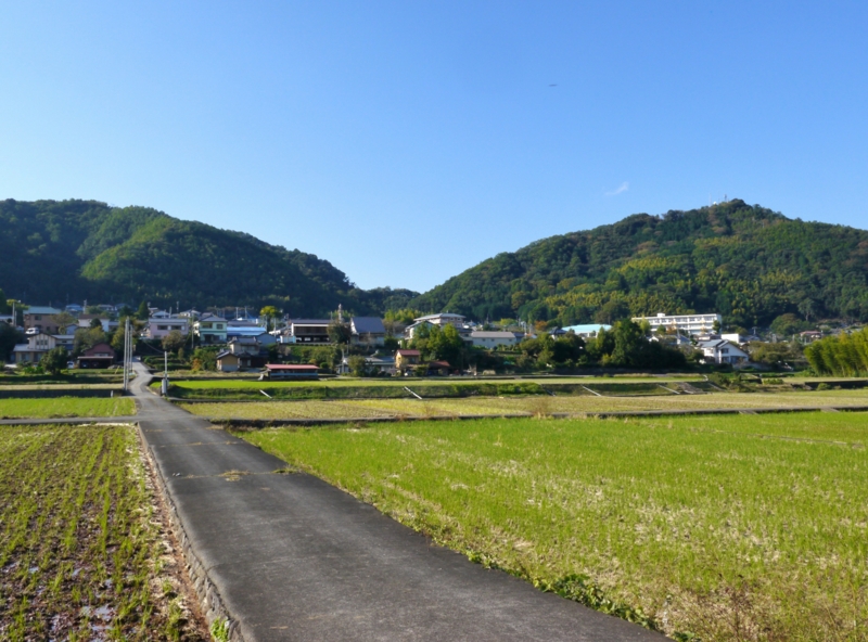 f:id:qshiro:20141019202519j:image:w360