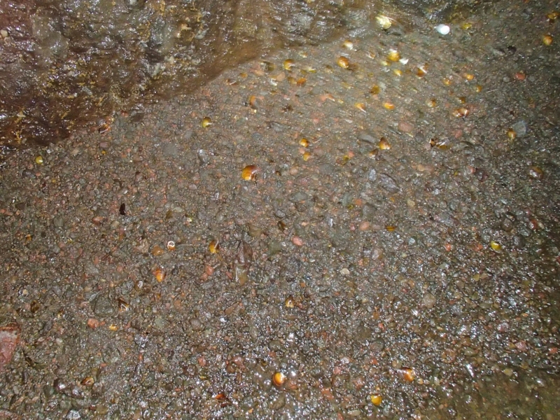 f:id:qshiro:20141020154419j:image:w360