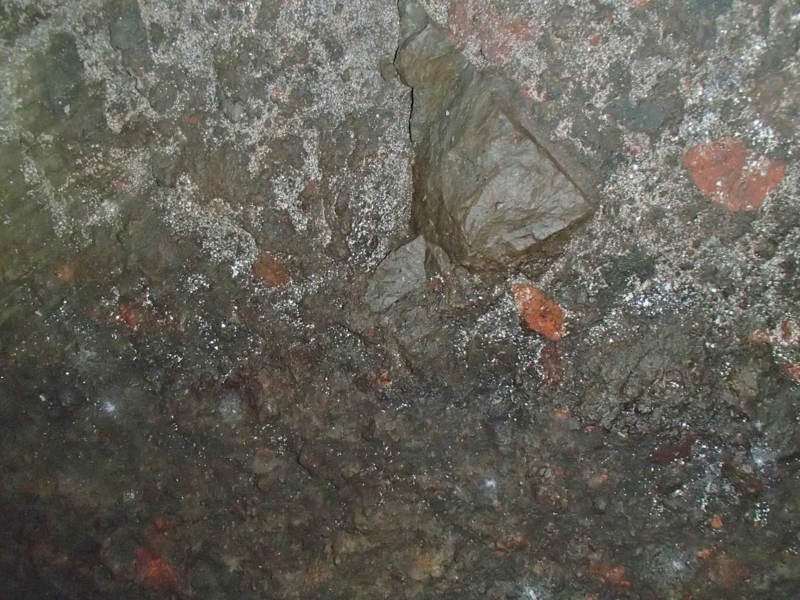 f:id:qshiro:20141020154420j:image:w360